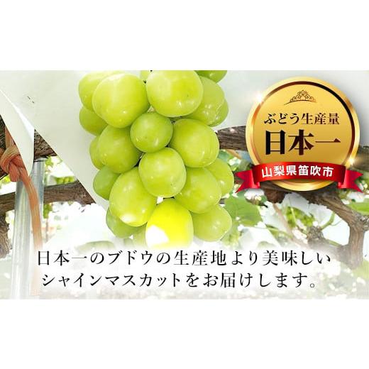 ふるさと納税 山梨県 笛吹市 ＜2024年先行予約＞人気 シャインマスカット 約2.5kg 3〜6房 ※沖縄県及び離島への配送はできませんので予めご了承ください。※常…