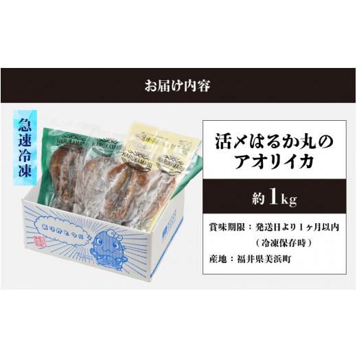 ふるさと納税 福井県 美浜町 [m36-a004] 急速冷凍 お刺身で食べる 天然 アオリイカ 約1kg 活きたイカをご提供している漁師が活〆！鮮度格別！【発…