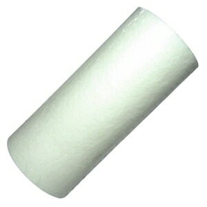 10吋大胖PP濾心 2入