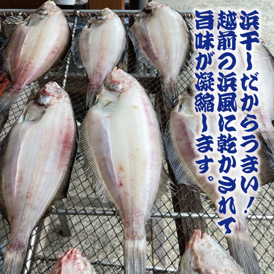 越前産　ナメタガレイ　ひもの　一夜干し　2枚入（約20ｃｍ）　5パック