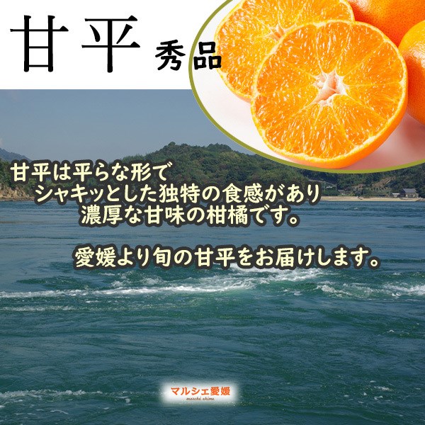 甘平みかん 秀品 L 約3kg 愛媛 贈答 化粧箱 フルーツ ギフト かんぺい みかん 箱買い 一部地域 送料無料