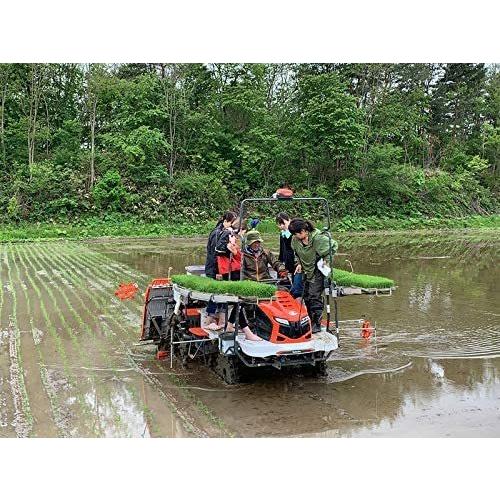 秋田県産 農家直送 ミルキークイーン (精米5kg)