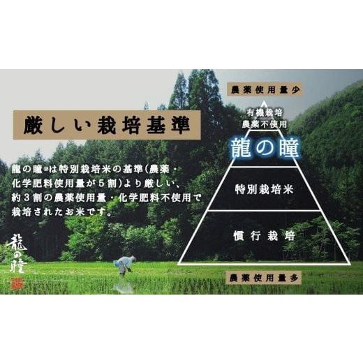 ふるさと納税 岐阜県 下呂市 新米5kg×4 (計20kg）飛騨産・龍の瞳（いのちの壱）株式会社龍の瞳直送 米 令和5年産 20キロ  精米 りゅうのひとみ…