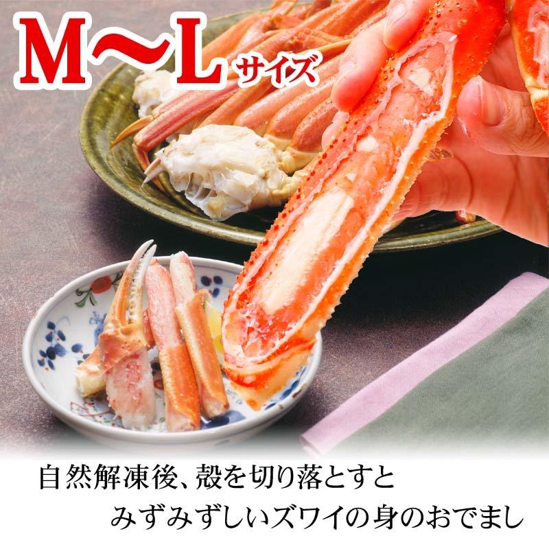 (送料無料) 訳あり ズワイガニ かに足 2ｋｇ ボイル冷凍　わけありの ずわいがに脚が食べ放題！ずわい 蟹のボイル脚 松葉蟹