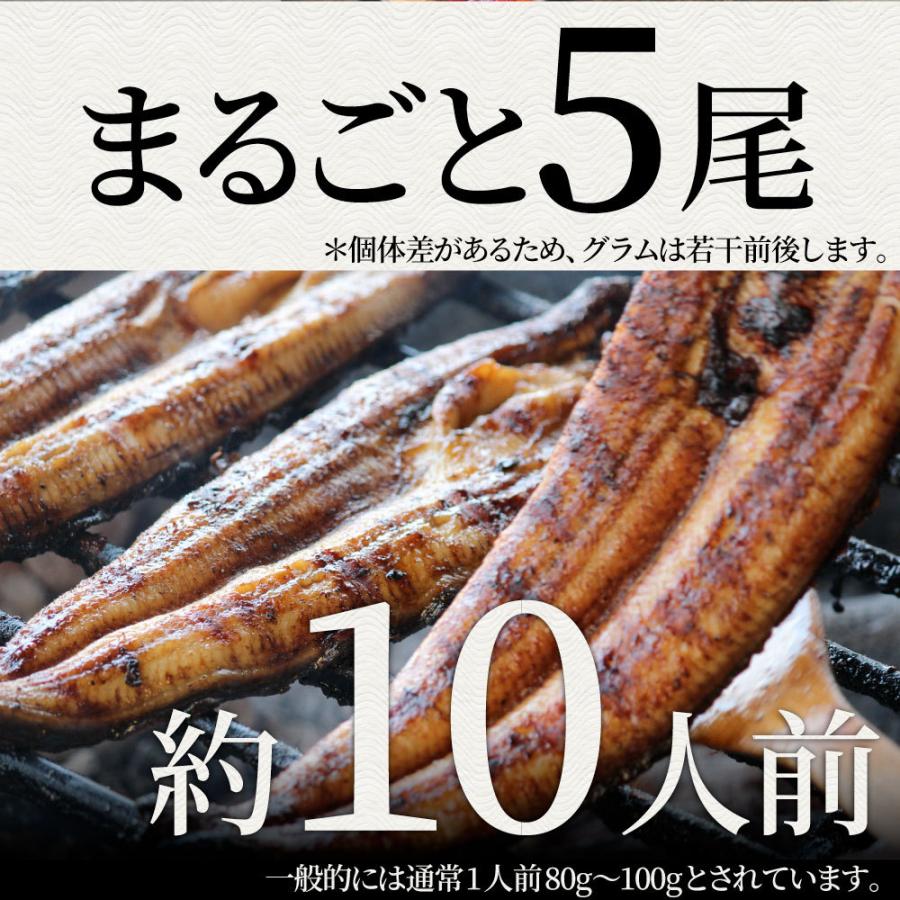 うなぎ蒲焼 5本入り（約200ｇ×5）たれ・山椒付き 鰻 かば焼き 土用 丑の日 湯煎 レンジOK 簡単解凍するだけ 惣菜 冷凍当日発送