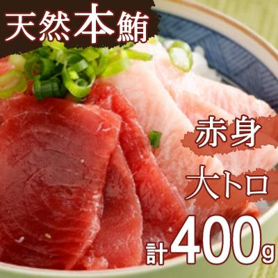 ふるさと納税 室戸市 厳選天然本マグロ大トロ・赤身食べきりセット