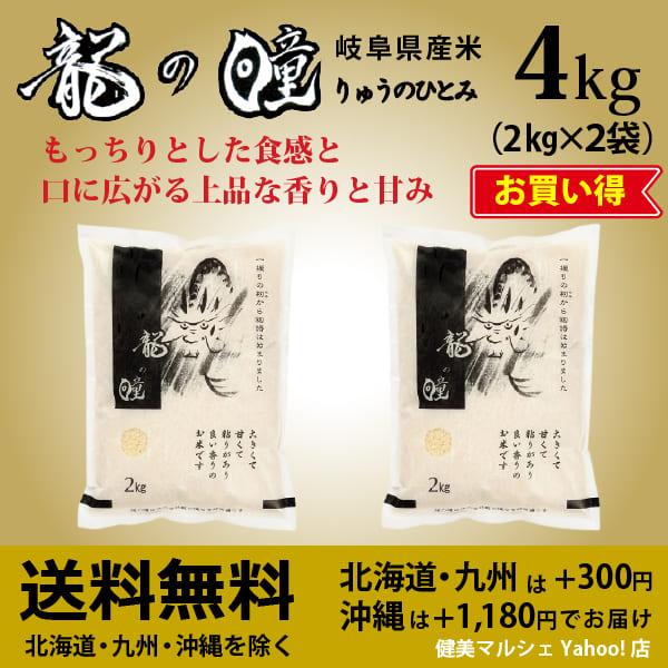 新米入荷 龍の瞳 4kg （2kg×2袋） 令和5年産米 岐阜県産 白米  送料無料 一部地域除く