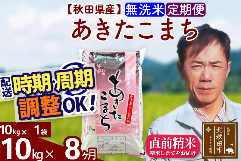 《定期便8ヶ月》＜新米＞秋田県産 あきたこまち 10kg(10kg袋) 令和5年産 お届け時期選べる 隔月お届けOK お米 みそらファーム 発送時期が選べる|msrf-30608