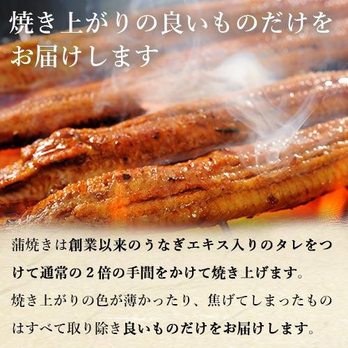 うなぎ お歳暮 内祝 御祝 国産ふっくらうなぎ蒲焼き2尾と佃煮 肝吸いセット 送料無料