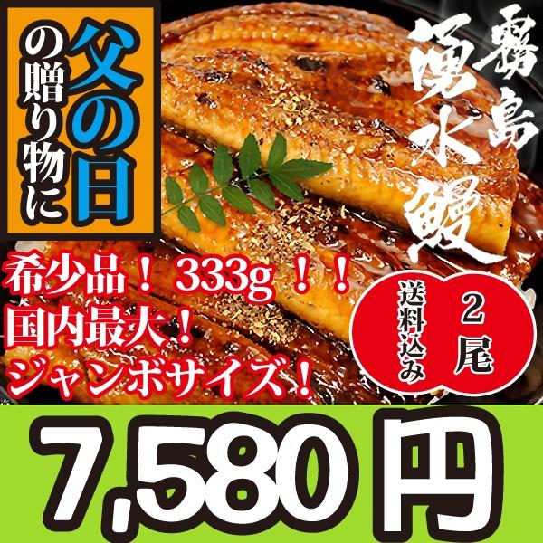 国産最大サイズ！山椒付き！333g山田水産が世界に誇る霧島湧水のうなぎの蒲焼き約333g 2本