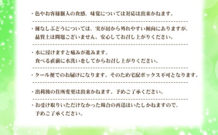 BS-365 シャインマスカット2kg　(2～6房) 〔7月下旬~8月上旬に発送〕