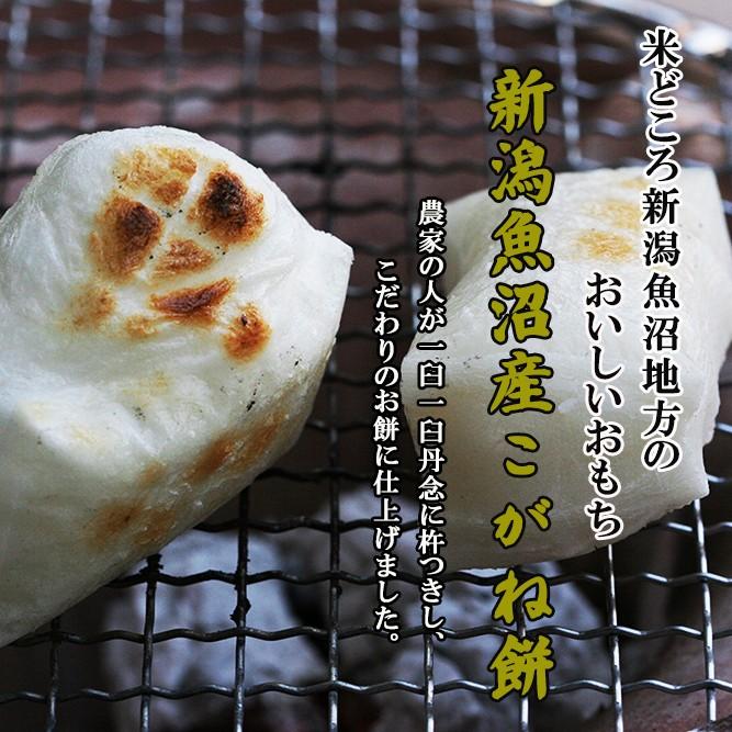 魚沼産こがね餅 10袋 新潟魚沼産黄金餅 極上の餅 ギフト 贈答 お取り寄せ