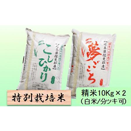 ふるさと納税 特別栽培米★精米20kg（白米 5分 7分ツキ可） 玄米は別に出品 5分ヅキ 岐阜県池田町