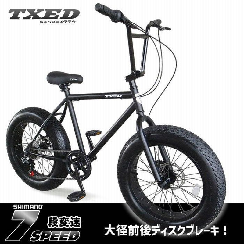 送料無料】ファットバイク ビーチクルーザー 自転車 20インチ 前後 ...