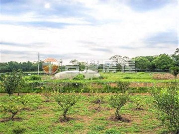 合法有機產銷營運農場｜桃園市龍潭區泥橋段