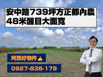 安中路739坪方正都內農｜台南市安南區淵南段