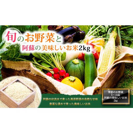 ふるさと納税 熊本県 阿蘇市 季節のお野菜セットとお米のセット