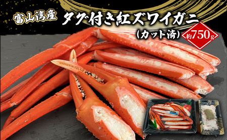 厳選 富山湾産 タグ付き紅ズワイガニ約750ｇ（カット済）富山県黒部市 カニ 贈答 自分にご褒美 漁師直販 恵比須丸