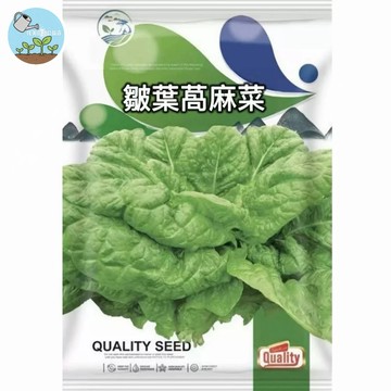 【原廠包裝】皺葉萵麻菜種子 清脆爽口 生菜沙拉必備 陽台家庭盆栽 四季可種 新手推薦 快速收成約40天