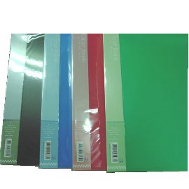 【品牌不限】A4 資料本 PP 固定 資料簿(40入無內頁)/本【APP滿額下單4%點數(單一帳號最高1000點)】7/31止
