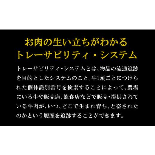 ふるさと納税 長崎県 雲仙市 雲仙牛(A5ランク)サーロインステーキ(200g×2ケ)