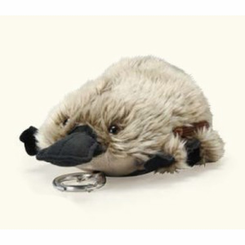 パスポーチ カモノハシ かものはし リール付き かわいい おしゃれ パスケース 定期入れ ぬいぐるみ デコレーション 定期券 デンシマネー 通販 Lineポイント最大1 0 Get Lineショッピング