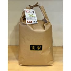 新米 令和5年産 小田原の米「はるみ」玄米 10kg(5kg×2袋)