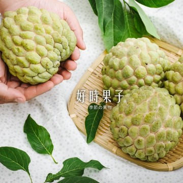 釋迦/火龍果 【好時果子】大目釋迦(6入/中果/3kg/盒)