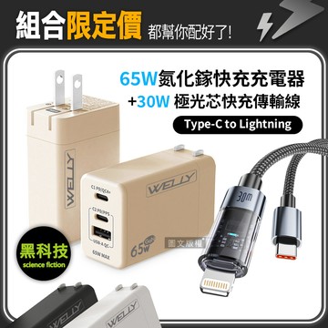 30W 極光芯 Type-C to Lightning 耐拉傳輸充電線+65W氮化鎵GaN 三孔極速充電器