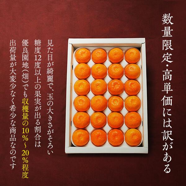 みかん めっちゃ甘いんじゃ 糖度12度以上 2kg 特選品 M S 2S サイズのいずれか 和歌山県産 産地直送 S品 贈答用 