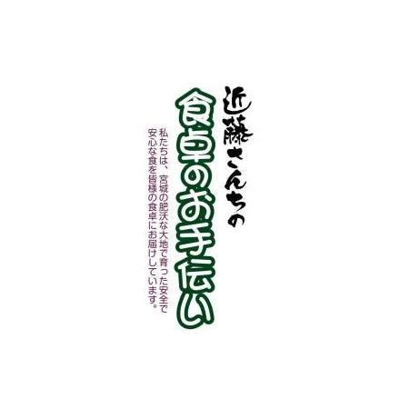 ふるさと納税 宮城県登米市産つや姫精米20kg×6回 宮城県登米市