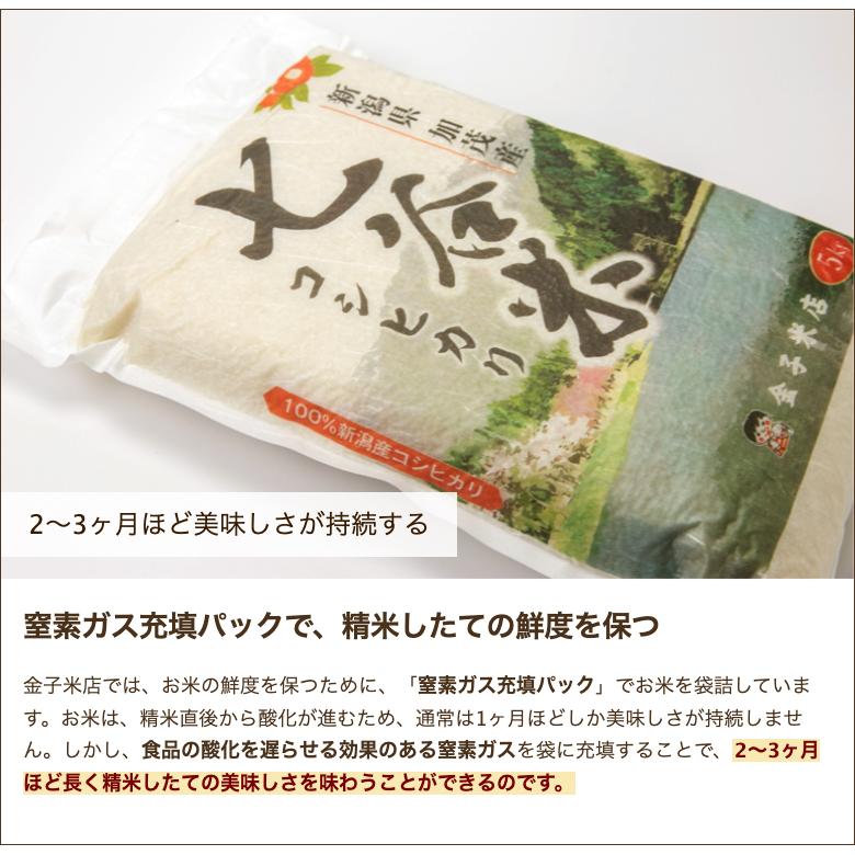 新潟産コシヒカリ「七谷米」（従来品種）精米5kg 金子米店 のし無料 送料無料