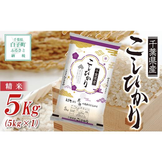 ふるさと納税 千葉県 白子町 令和5年産  千葉県産コシヒカリ＜精米＞5kg(5kg×1) ふるさと納税 お米 5kg 千葉県産 白子町 コシヒカリ 米 精米 こめ 年…