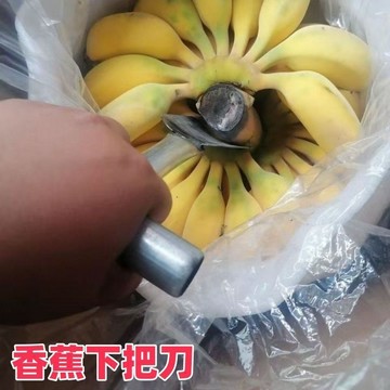爆賣款🚀香蕉專用下把刀 摘香蕉工具 香蕉刀 錳鋼鍛造香蕉刀 香蕉採摘刀 去把鏟 香蕉去把刀 除芽鏟 P50 TW