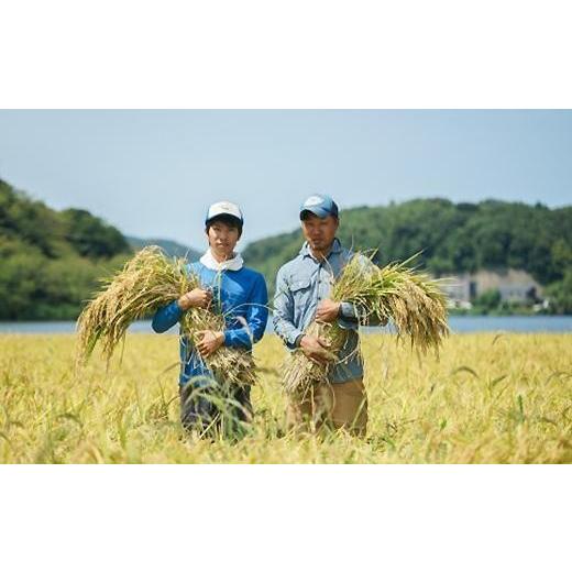 ふるさと納税 京都府 京丹後市 京丹後産 コシヒカリ≪令和5年産≫5kg