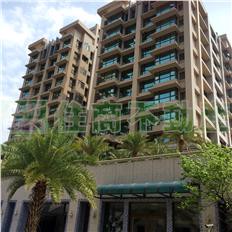 林口雙語康橋附近全新無人住過-住商忠孝統領店｜新北市林口區佳林路