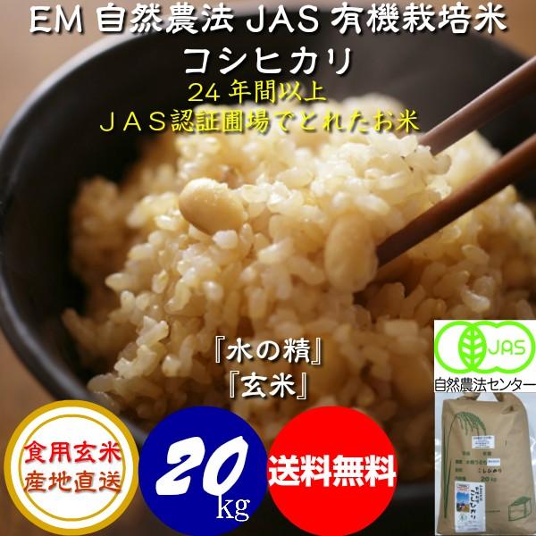 令和5年産 新米 無農薬 有機米 コシヒカリ 食用玄米 ２０ｋｇ 水の精 ＪＡＳ認証 ＥＭ自然農法