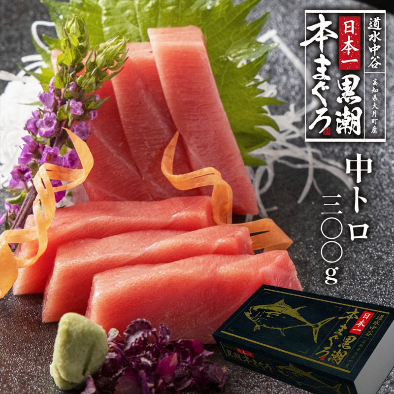 日本一黒潮本まぐろ　中トロ 300ｇ