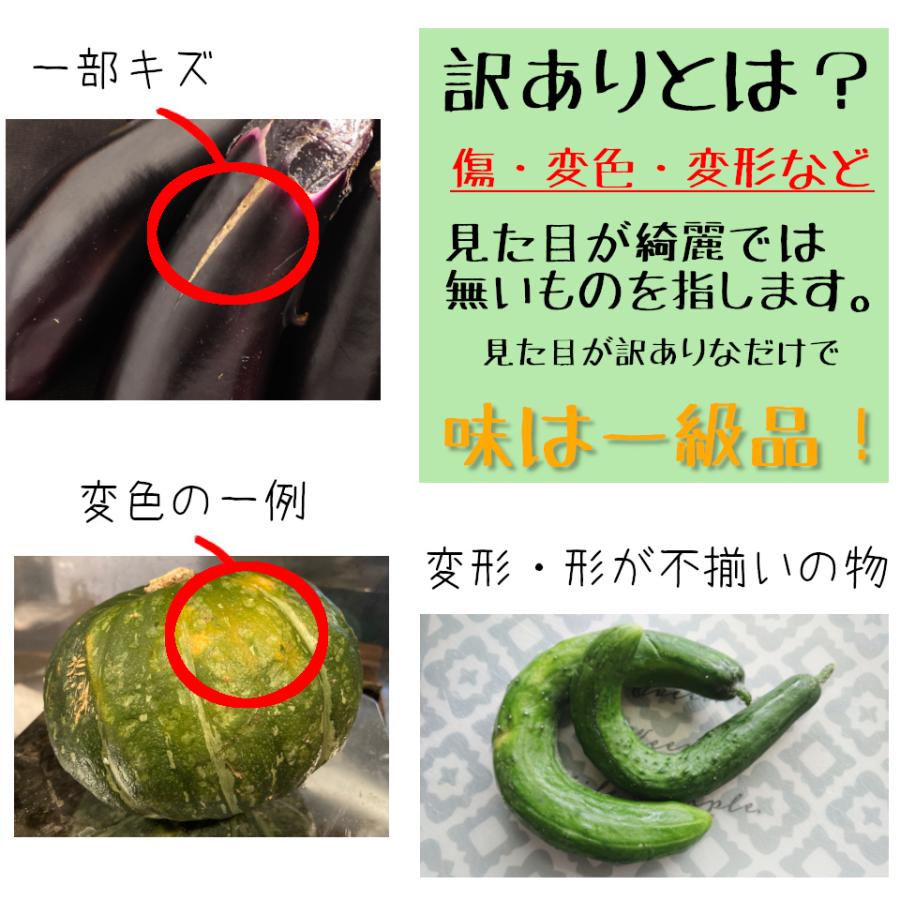 三浦半島直送 訳あり おまかせ 神奈川県産野菜セット 7品 旬の野菜詰め合せ お任せ野菜詰め合わせ 野菜盛り合わせ 送料半額