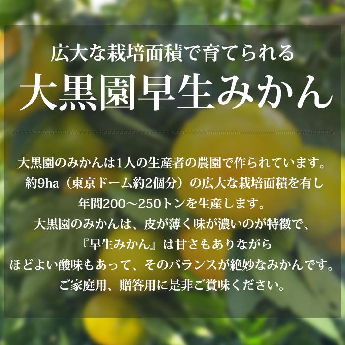 みかん 福岡県みやま市 大黒園早生みかん 秀品 約3kg S〜Mサイズ 30〜36個