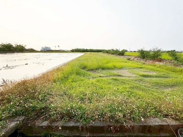 白河下庄路上低總價農地｜台南市白河區海豐厝段