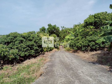 台三線近木柵教會庄內丙建加果園｜台南市南化區菁埔寮段