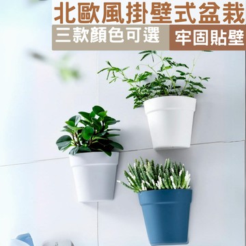 (現貨出清）北歐風掛壁花盆 壁掛盆栽 懶人盆栽 掛壁盆栽   吊盆 掛盆 水培花盆 多肉植物花盆 植物牆 多肉花盆