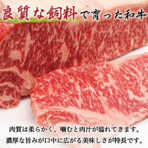 ふるさと納税 博多和牛 牛すじ 約1kg A5〜A4ランク [a0234] 株式会社マル五 ※配送不可：離島添田町 ふるさと納税 福岡県添田町