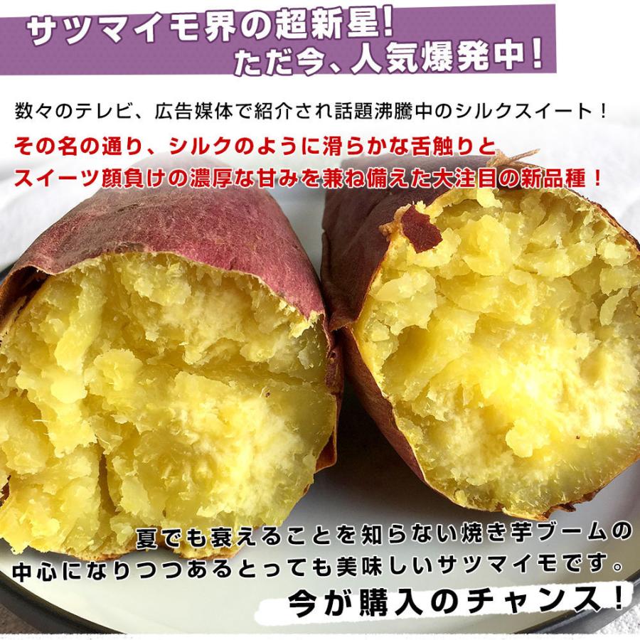 千葉県産 JAかとり シルクスイート Lサイズ2.5キロ 7本前後 送料無料 さつまいも サツマイモ 薩摩芋 新芋 市場発送