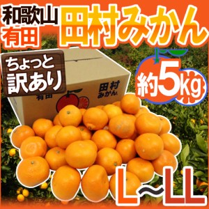 和歌山有田産 ”田村みかん” ちょっと訳あり L～LL 約5kg 産地箱 送料無料