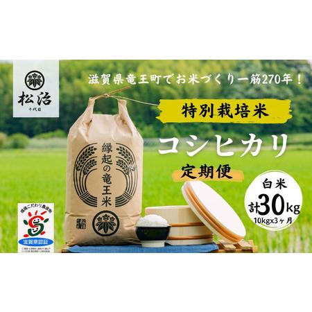 ふるさと納税 定期便 3ヶ月 コシヒカリ 白米 10kg 縁起の竜王米 特別栽培米 令和5年産  新米 ブランド米 白米 精米 計 30kg 定期便 3回 おこめ.. 滋賀県竜王町