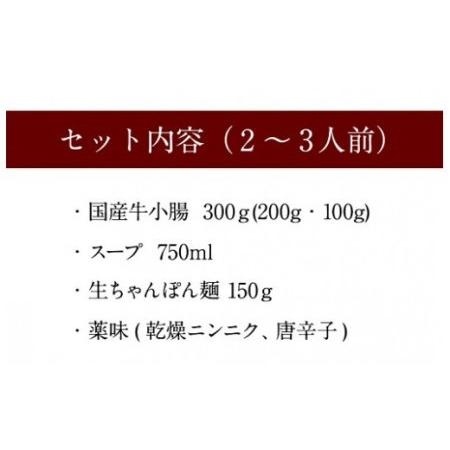 ふるさと納税 鶏家特選もつ鍋セット2〜3人前（ふるさと納税限定セット） 福岡県古賀市