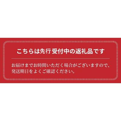 ふるさと納税 碧南市 まるでトマトの宝石箱!フルーツジュエリートマト　1.8kg　H004-117