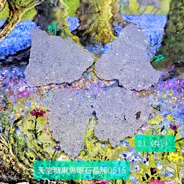 天堂糖果魚眼石晶簇0515-21&22&39 Apophyllite ~適合珠寶金工設計搭配/冥想/水晶排列用